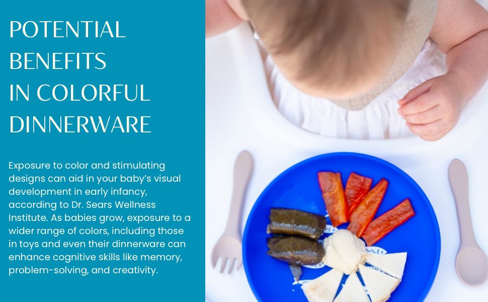 Ladydaidy color science — vibrant artisan-inspired plate color palette for babies